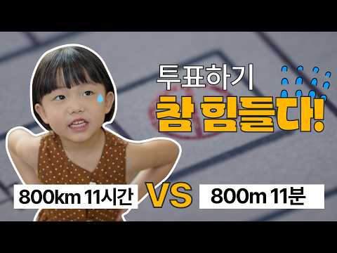비디오 8