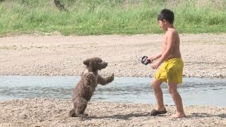 Семья из Восточного Казахстана приютила медвежонка