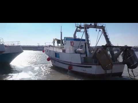 qualcuno sa il titolo di questa canzone  ? (film windstorm 3, ritorno alle origini )