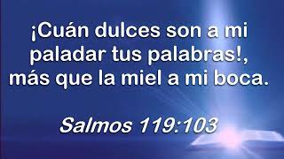 Tu palabra, Marcela Gandara.