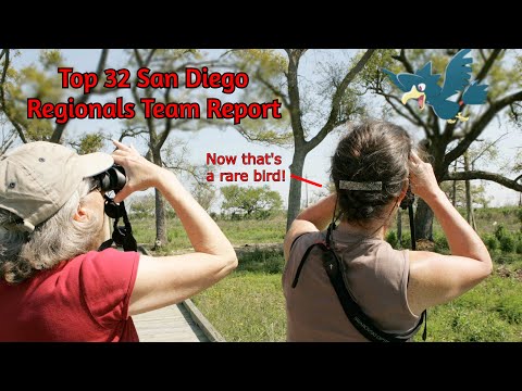 This is the ONLY Murkrow Gholdengo Team to Cut San Diego | T32 Team Report Featuring GoldenEmpoleon