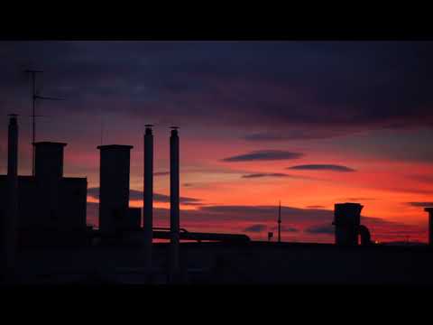 Theo Meier - Disposition