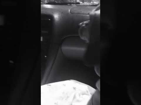 Quick check up help help me the yoshino show dp 3!