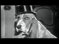 Elvis Presley Hound Dog The Steve Allen Show