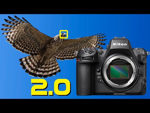 Nikon Focus FIX! Huge Z8 Firmware Update 2.0