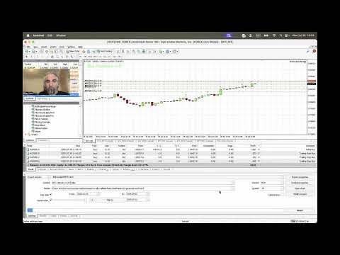 Video Bear EA Scalper