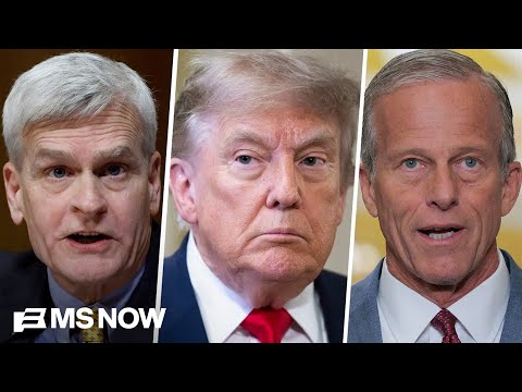 'Real shouting match': Inside GOP Senator's 'high temperature' lunch with Trump