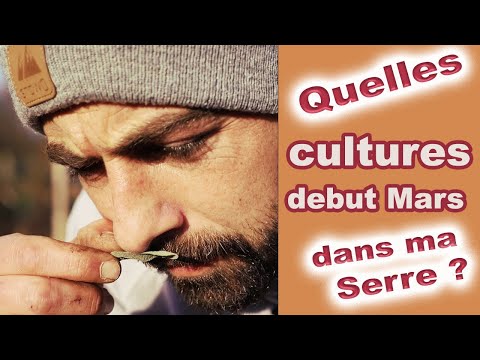 , title : 'Quelles cultures De plantes dans ma serre début Mars ?'