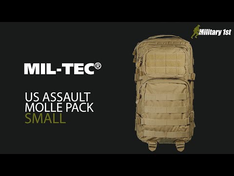 Mil-Tec MOLLE US Assault Pack Small