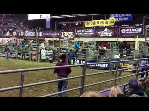 Lot A06   4 33 Blue Boy   3trips