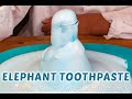 Elephant Toothpaste - A Classic Chemistry Experiment for Kids