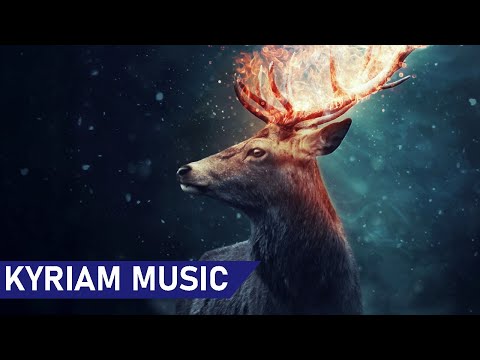 Nicolai Patricio - Somewhere But Not Here