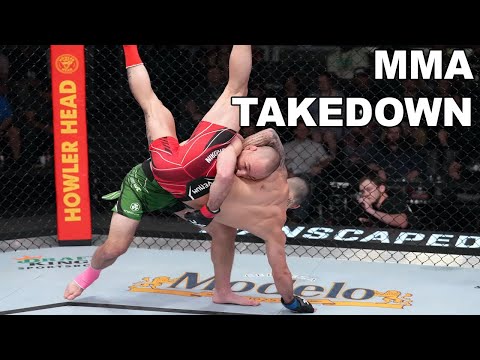 MMA TAKEDOWNS for beginners | UFC | mixed martial arts
