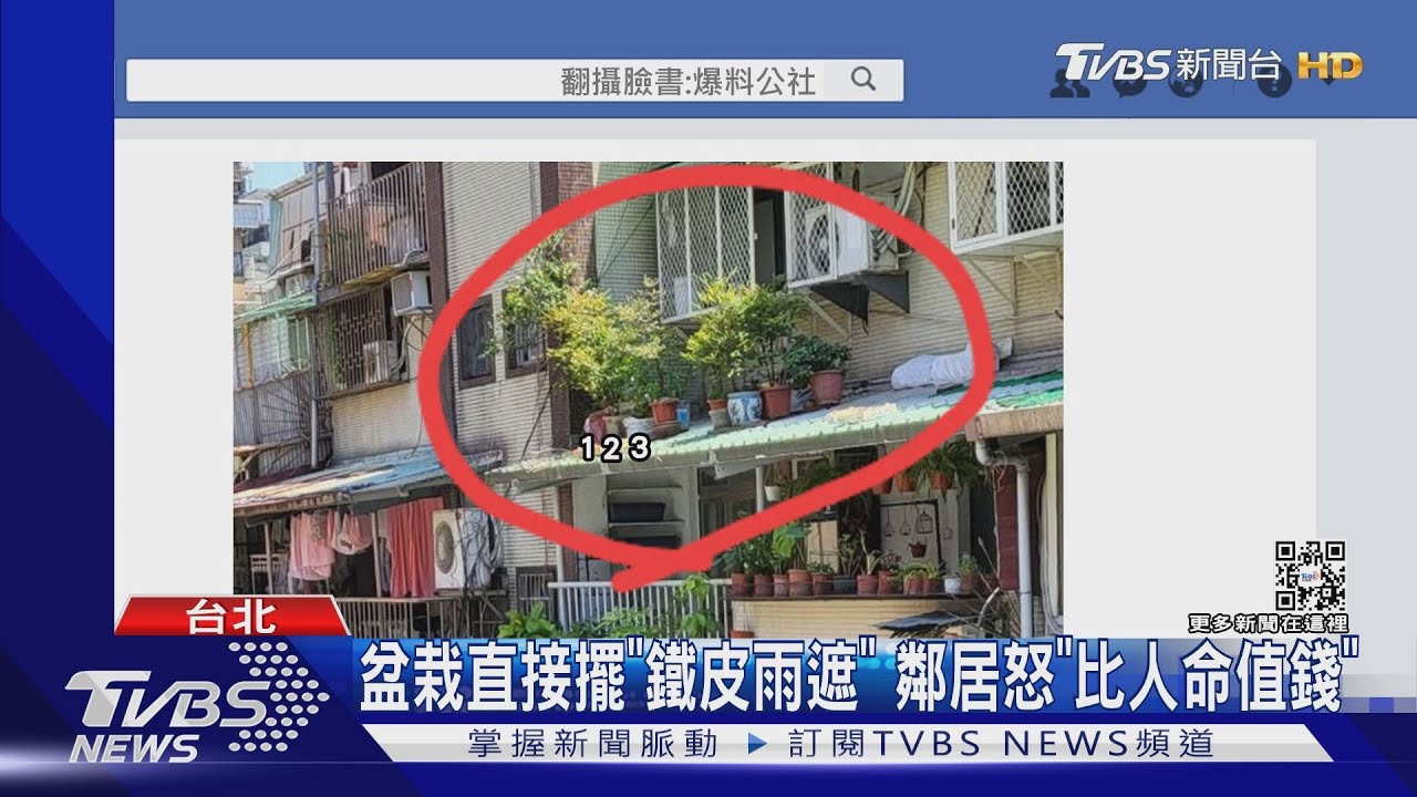 盆栽直接擺「鐵皮雨遮」 鄰居怒「比人命值錢」