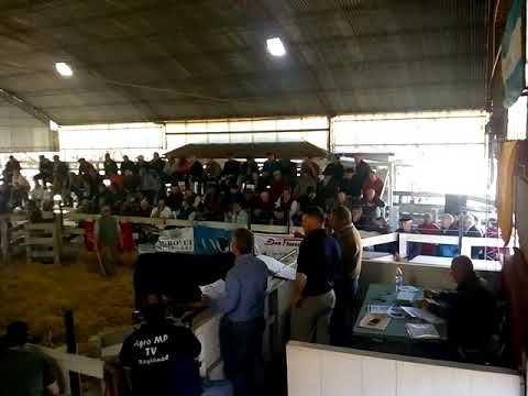 Zetavision TV Canal 3 Cabaña Don Florencio de Oscar M. Busquet e Hijo S.A.