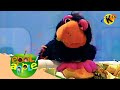 Describing 1st Person Singular Epol Apple