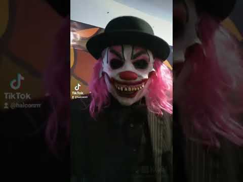 SALUDOS DEL @COMPAYASO