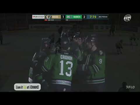 Maine Mariners vs. Wheeling Nailers highlights - 1/28/26