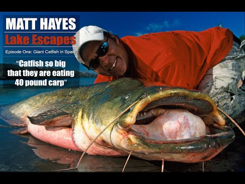 Matt Hayes | Lake Escapes | Episode One | Giant Catfish of the River Ebro
