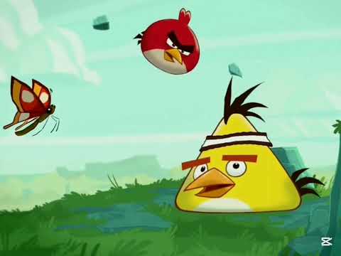 Producciones Pablo DVD Pirata 4 En 1 (Pinocho Garfield Angry Birds Toons Krakens Y Sirenas) [FAKE]