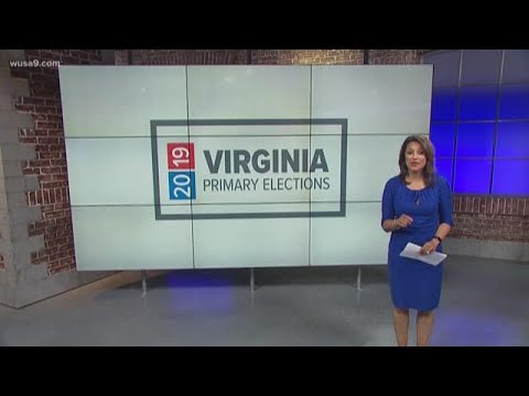 2019年民主黨弗吉尼亞州初選結果 (2019 Democratic VA primary election results)