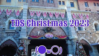 ＊【ゴスロリ】TDR 40周年！TDS Christmas 2023に行って来ました！【ディズニー】＊