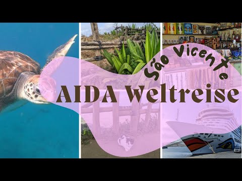 AIDA Weltreise 2023/24 - Meeresschildkröten auf São Vicente VLOG 004