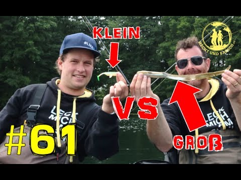 Kleine gegen große Köder - Was fängt besser? |  hechtundbarsch.de