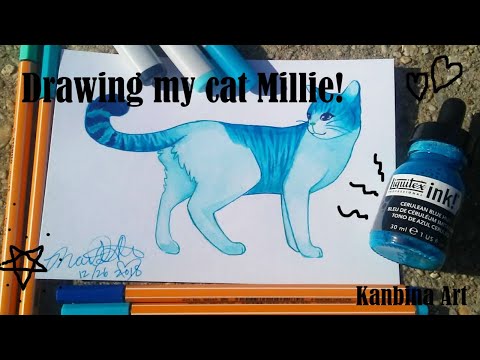 Drawing My Cat Millie And Trying Liquitex Ink!