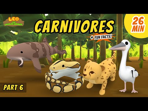 Witness21 Editor  2020 09 25