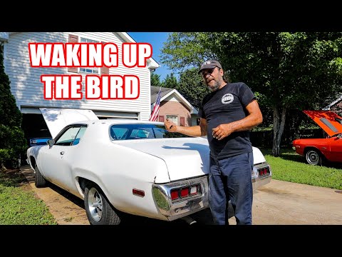 1973 Roadrunner 340 4 Speed - Let's Go For A Ride