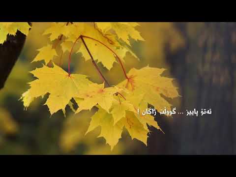 مەزهەری خالقی - نەسیمەکەی ساردی پاییزیی - Mazhari Khaliqi