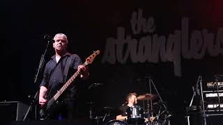 The Stranglers- European Female - La Carène Brest March 2023 ( 8mars 2023) European Tour