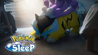 Pokémon Sleep - Raikou, Entei, and Suicune are coming to Pokémon Sleep!