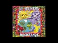Big Mountain - Resistance