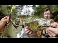 Why You Need An Ultralight Rod And Reel For Fishing
