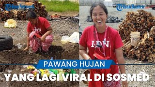 Lakukan Ritual Penurunan Suhu saat MotoGP, Pawang Hujan Sirkuit Mandalika ini Jadi Viral di Sosmed