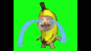 Crying Banana Cat Meme Green Screen (Short Version
