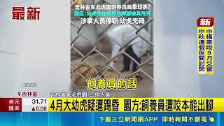 幼虎遭一腳踹昏！吉林虎園爆涉虐動引眾怒 園方急澄清：被咬本能甩開｜三立新聞網 SETN.com