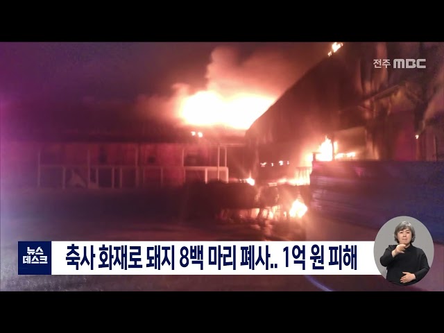 축사 화재로 돼지 8백 마리 폐사..1억 원 상당 피해
