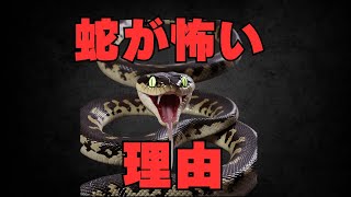 なぜ蛇は怖い？最新科学が解き明かす！あなたの恐怖の正体とは？