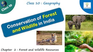 Conservation of Forest and Wildlife in India | Project Tiger - Class 10 Geography NCERT