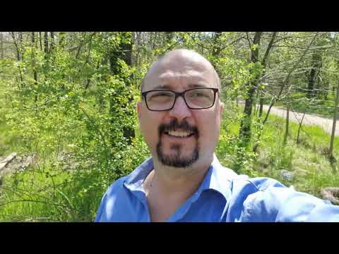 Începuturile mele în apicultura -România