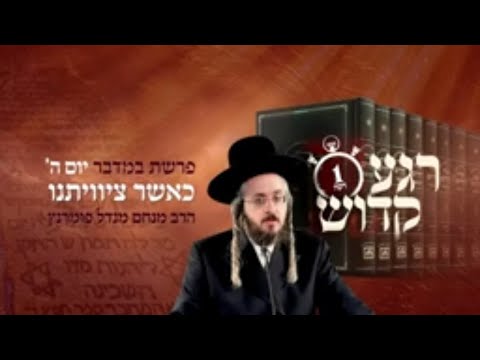 רגע קדוש מהאור החיים - פרשת במדבר יום ה'