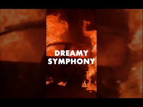 The George Kaplan Conspiracy - Dreamy Symphony (official video)