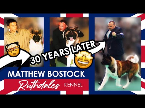, title : 'Meet One Of The greatest Akita Breeders All Time | Matthew Bostock from the Famous Ruthdales Akitas'