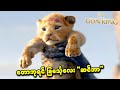 တောဘုရင် ခြင်္သေ့လေး ဆင်ဘာ The Lion King 2019 SMART 