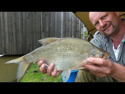 Matze Koch: Harbor Bream - Matze's Antics 10-2015