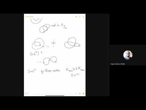 Webinar - Pseudo-holomorphic curves - Umberto Hryniewicz
