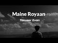Maine Royaan Tanveer Evan Official Song Slowed And Reverb